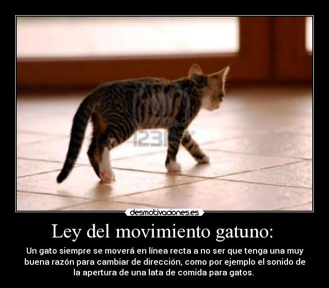 Ley del movimiento gatuno: -