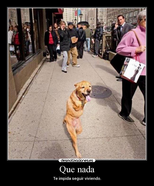 Que nada - Te impida seguir viviendo.