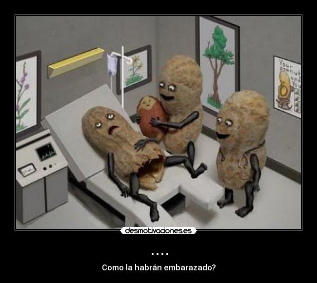 carteles cacahuate hermafroditismo desmotivaciones