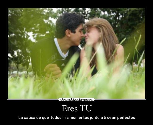 Eres TU - La causa de que todos mis momentos junto a ti sean perfectos