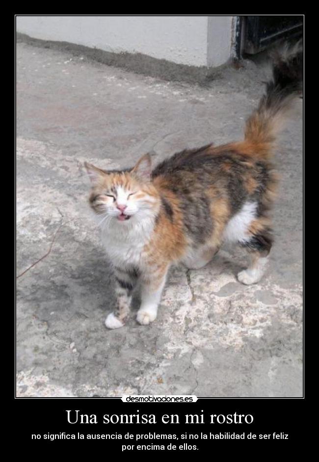 Una sonrisa en mi rostro - no significa la ausencia de problemas, si no la habilidad de ser feliz
por encima de ellos.