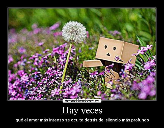 Hay veces - qué el amor más intenso se oculta detrás del silencio más profundo