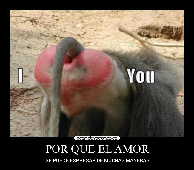 POR QUE EL AMOR - SE PUEDE EXPRESAR DE MUCHAS MANERAS