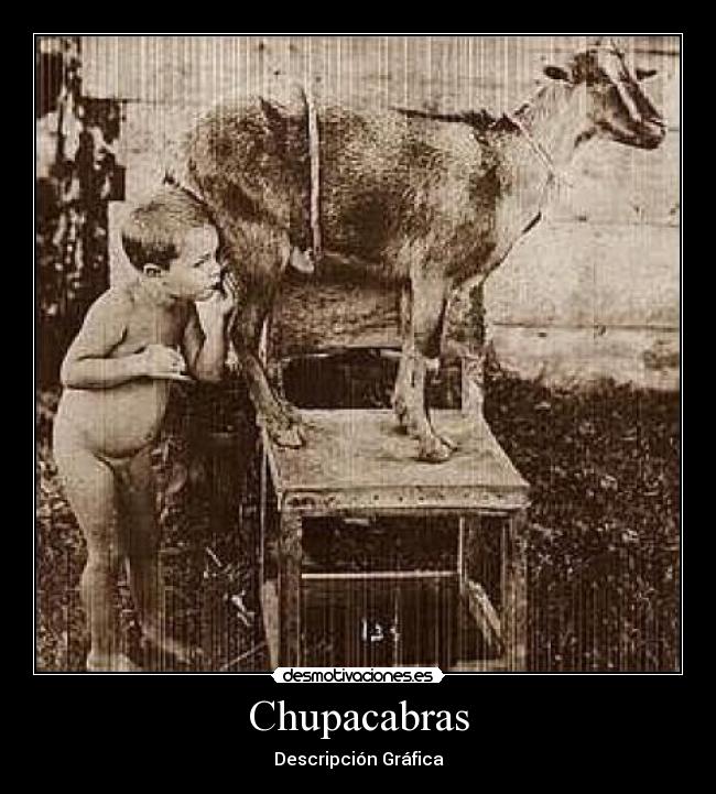 carteles chupacabras desmotivaciones