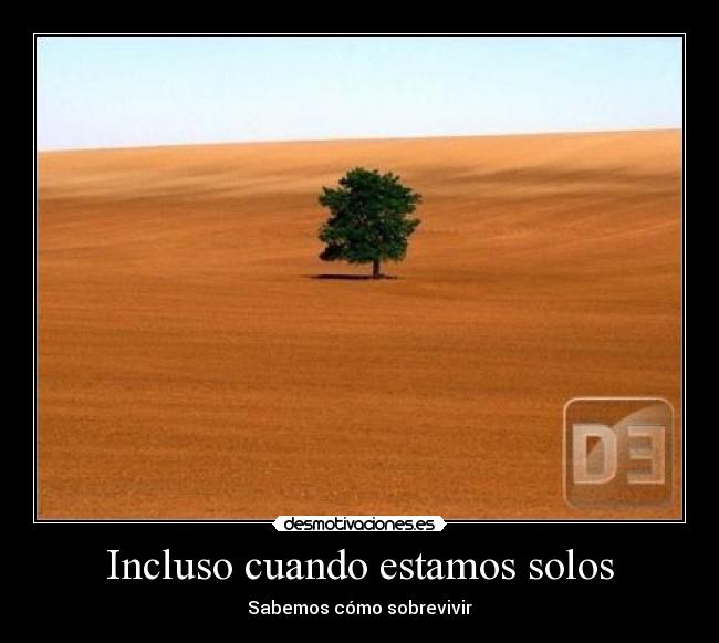 Incluso cuando estamos solos - Sabemos cómo sobrevivir