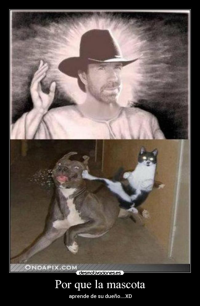 Por que la mascota - aprende de su dueño....XD