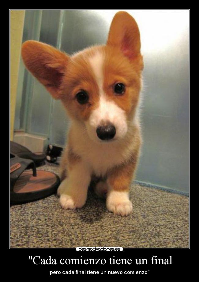 carteles perder esperanza para idiotas desmotivaciones