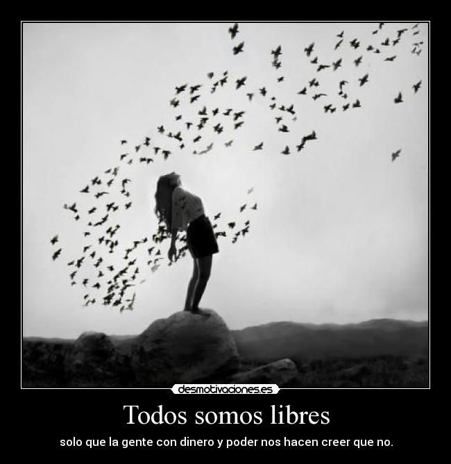 Todos somos libres - solo que la gente con dinero y poder nos hacen creer que no.