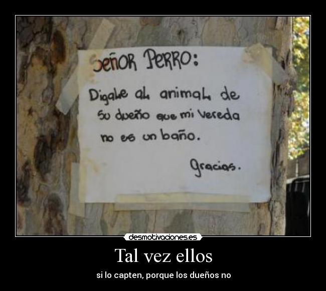 Tal vez ellos - si lo capten, porque los dueños no