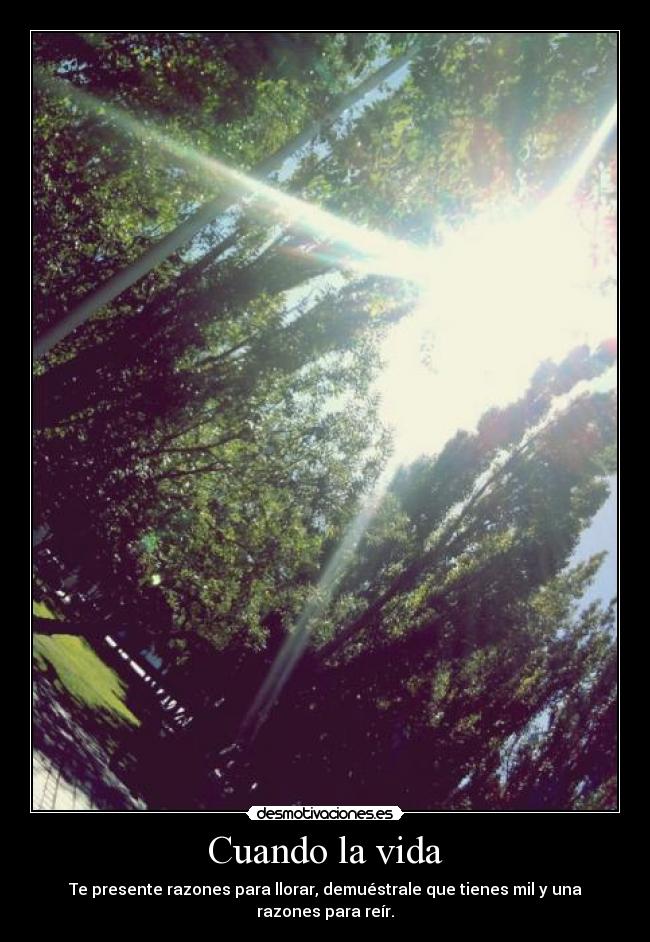Cuando la vida - 