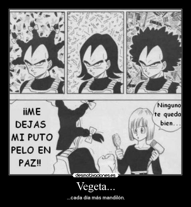 Vegeta... - ...cada día más mandilón.