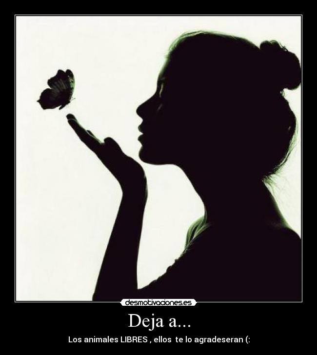 carteles fresiitaw desmotivaciones