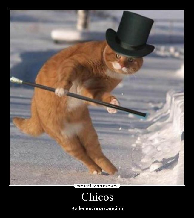 Chicos - 