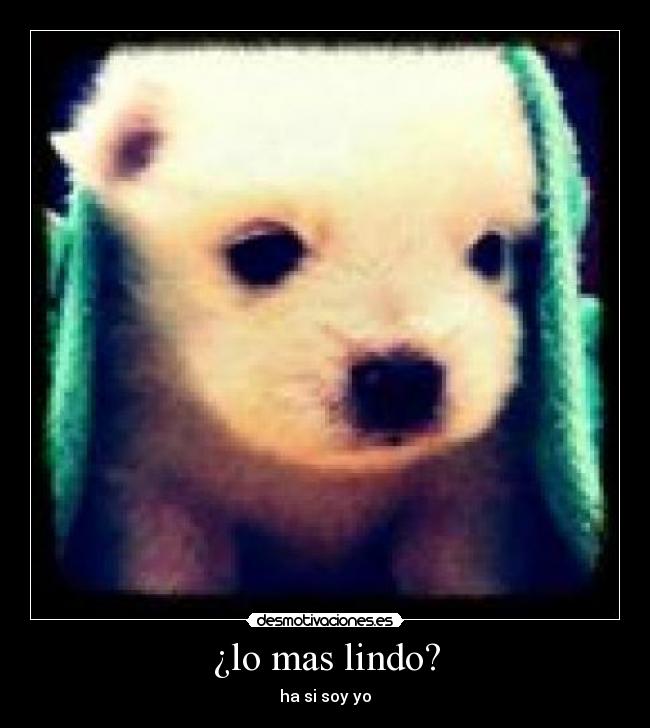 ¿lo mas lindo? - ha si soy yo