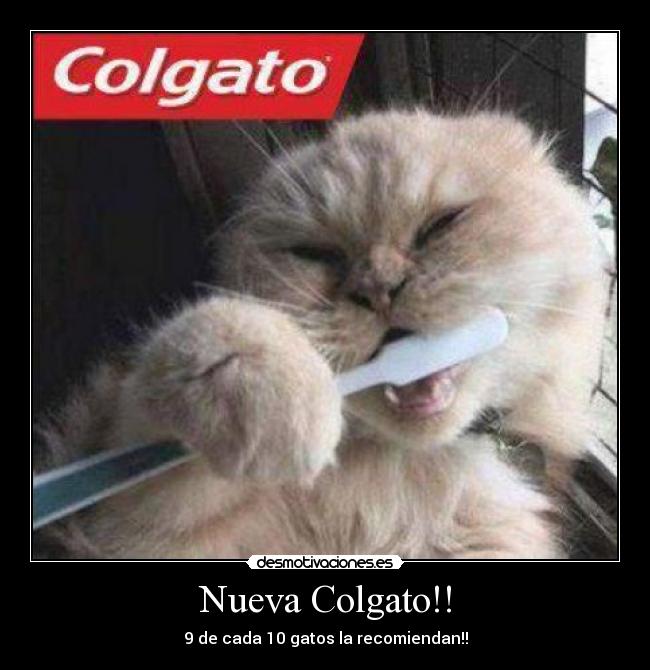 Nueva Colgato!! - 