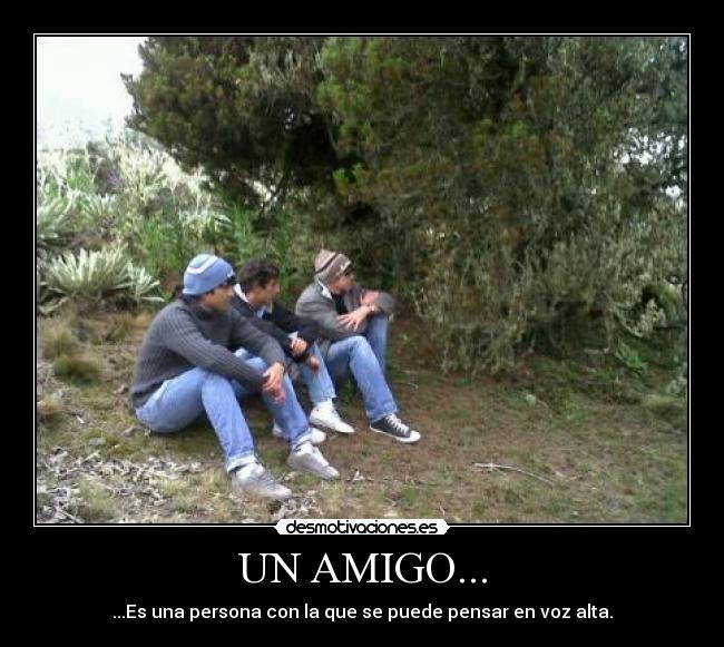 UN AMIGO... - ...Es una persona con la que se puede pensar en voz alta.