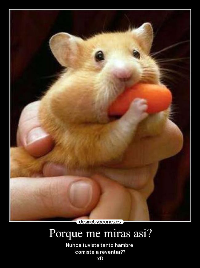 Porque me miras asi? - Nunca tuviste tanto hambre
comiste a reventar??
xD