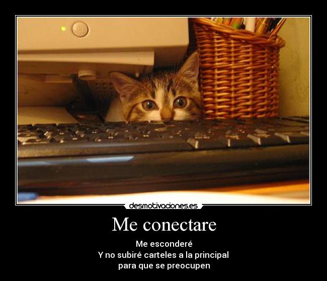 Me conectare -