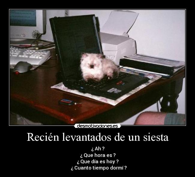 carteles recien levandatos clubkumo desmotivaciones