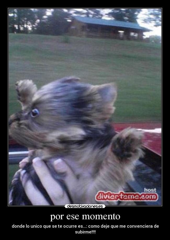 por ese momento - donde lo unico que se te ocurre es...: como deje que me convenciera de subirme!!!!