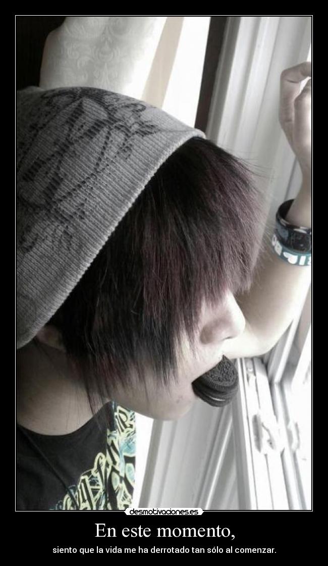 carteles gatitadelcaribe desmotivaciones