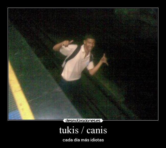 tukis / canis - cada día más idiotas