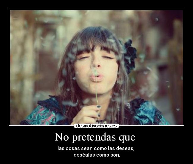 No pretendas que  - 