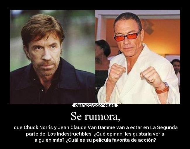 Se rumora, -  que Chuck Norris y Jean Claude Van Damme van a estar en La Segunda
parte de Los Indestructibles ¿Qué opinan, les gustaría ver a
alguien más? ¿Cuál es su película favorita de acción?