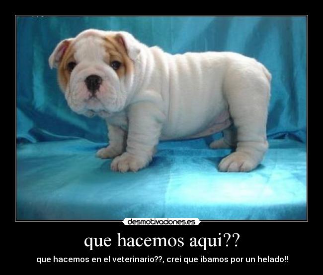 que hacemos aqui?? -