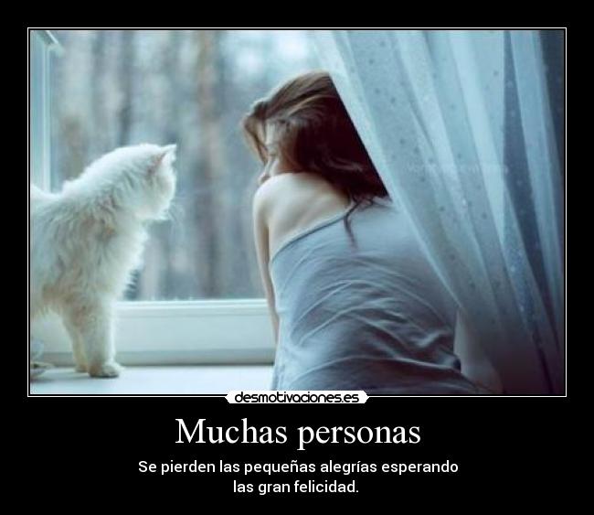 Muchas personas - Se pierden las pequeñas alegrías esperando
las gran felicidad.