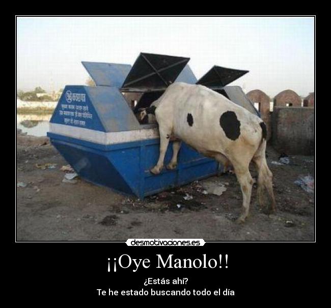 ¡¡Oye Manolo!! - 