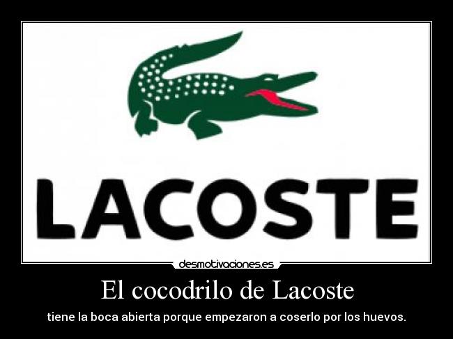 carteles coser desmotivaciones