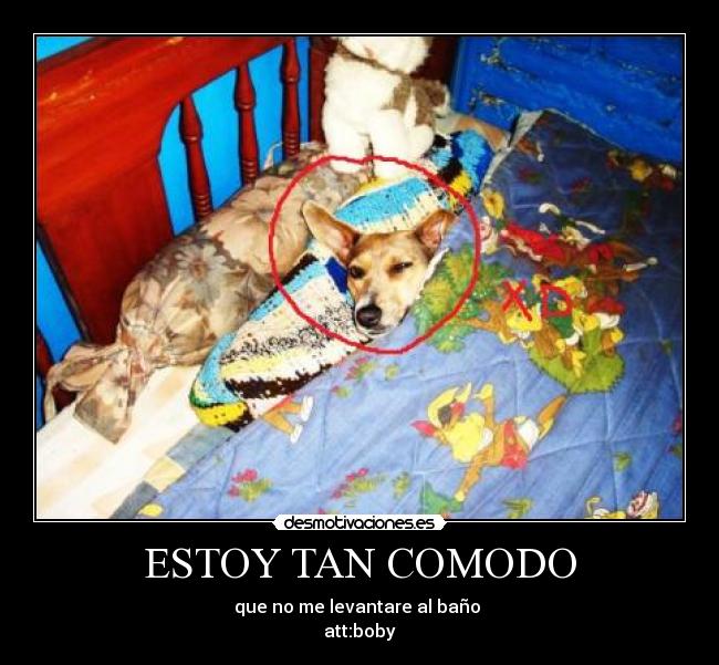 ESTOY TAN COMODO -