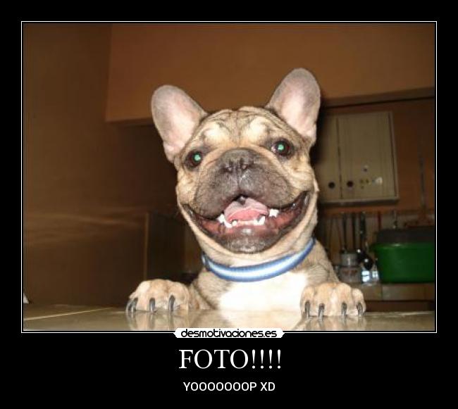 carteles leonardo-valleliveit dama-princesshotmailcom desmotivaciones