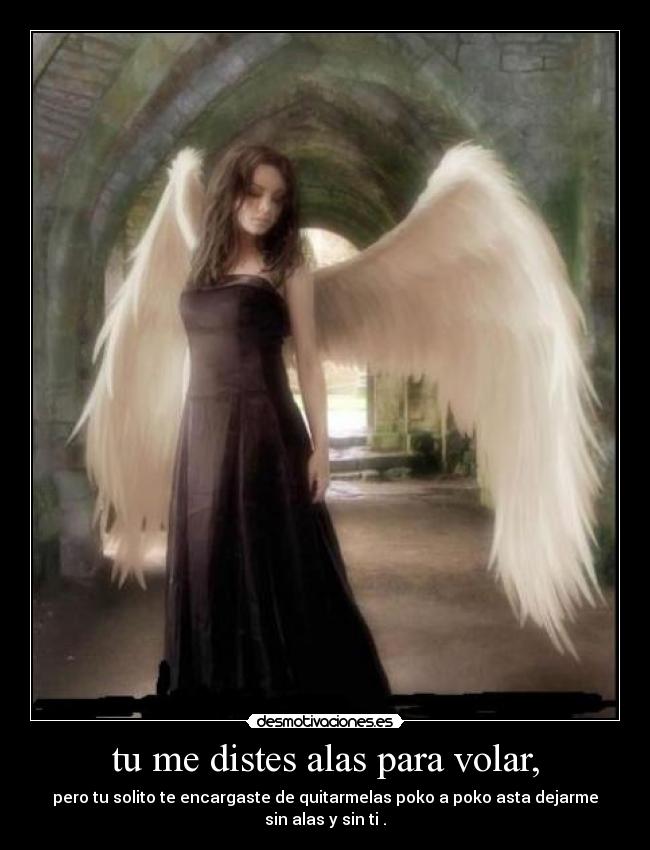 tu me distes alas para volar, - pero tu solito te encargaste de quitarmelas poko a poko asta dejarme sin alas y sin ti .