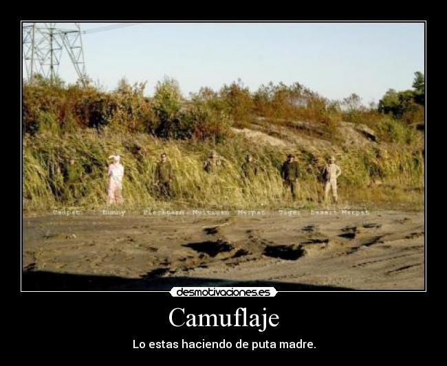 Camuflaje - Lo estas haciendo de puta madre.