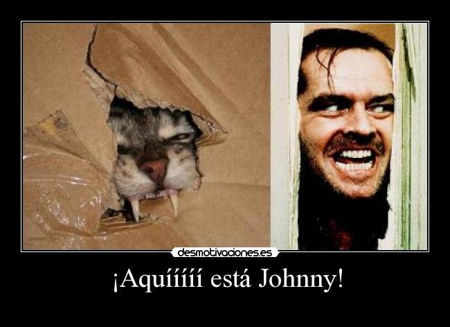 ¡Aquííííí está Johnny! - 