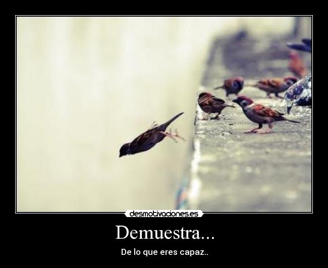 Demuestra... - 