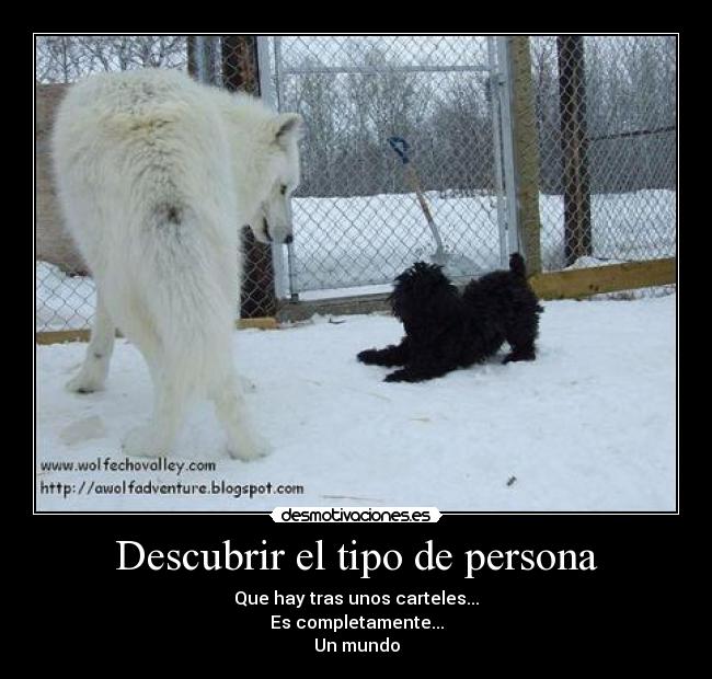 Descubrir el tipo de persona - Que hay tras unos carteles...
Es completamente...
Un mundo