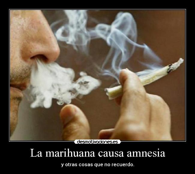 La marihuana causa amnesia - 