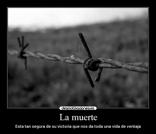 carteles muerte muerte desmotivaciones