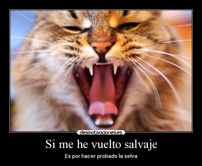 Si me he vuelto salvaje -