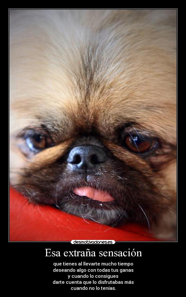 Esa extraña sensación - que tienes al llevarte mucho tiempo
deseando algo con todas tus ganas
y cuando lo consigues
darte cuenta que lo disfrutabas más
cuando no lo tenías.