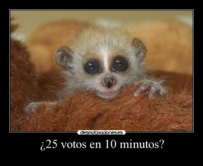 ¿25 votos en 10 minutos? - 