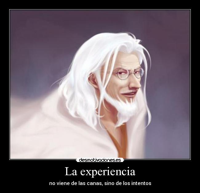 La experiencia - no viene de las canas, sino de los intentos