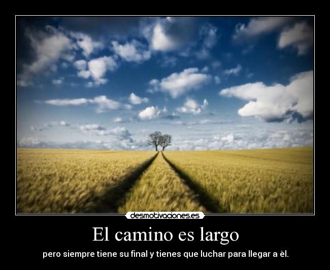 carteles ansajsh desmotivaciones