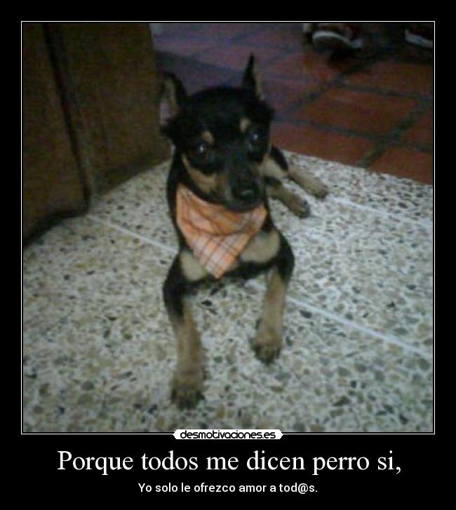 carteles perro amor desmotivaciones