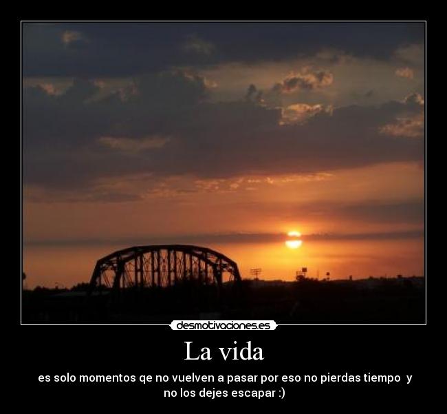 La vida -