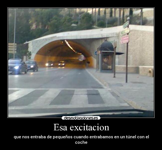 Esa excitacion -