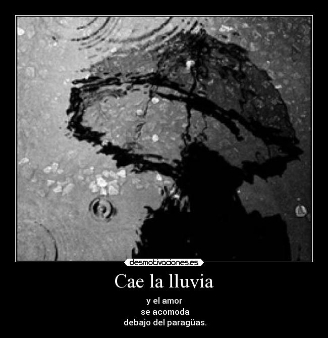 Cae la lluvia - 